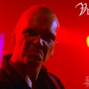 Vreid