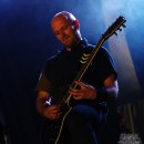 Vreid