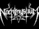 Nachtmystium