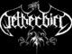 Netherbird Logo